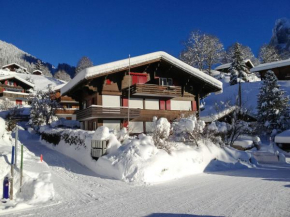 Apartment Chalet Bergfink by Interhome